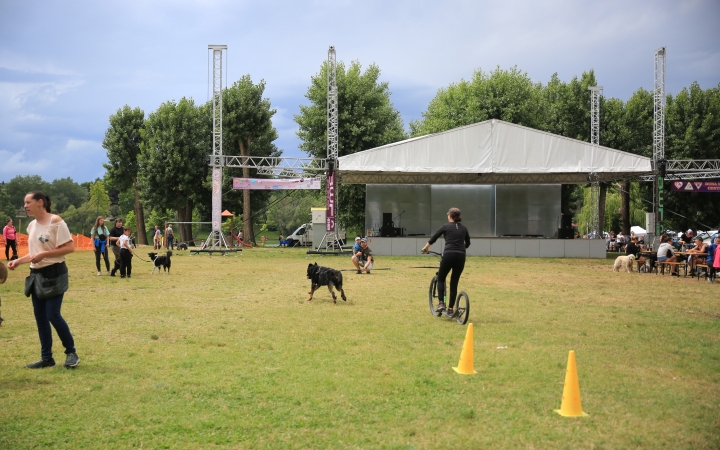 I. Duna Dog Center Fesztivál - fotó: 