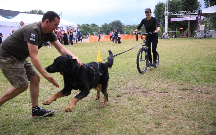 I. Duna Dog Center Fesztivál - fotó: 