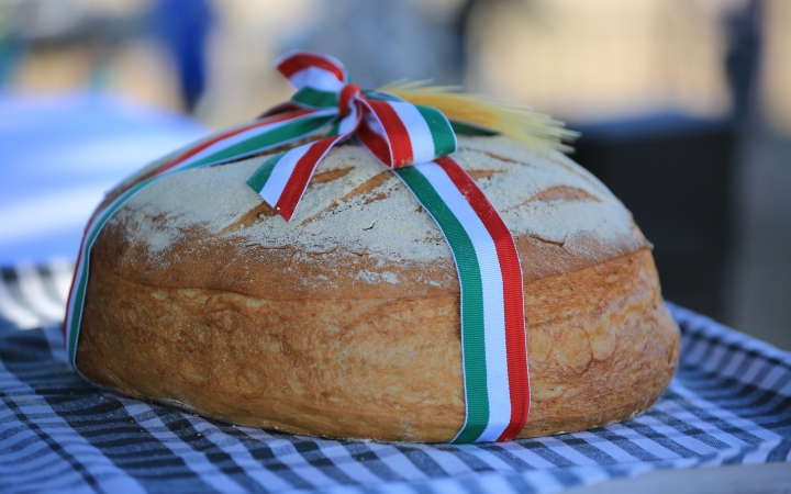 Augusztális a Szalki-szigeten (2024) - fotó: 