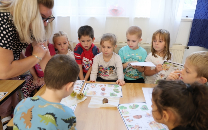 Zöld értékek az Aranyalma tagóvodában - fotó: 