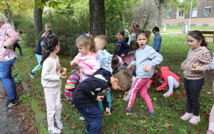 Zöld értékek az Aranyalma tagóvodában - fotó: 