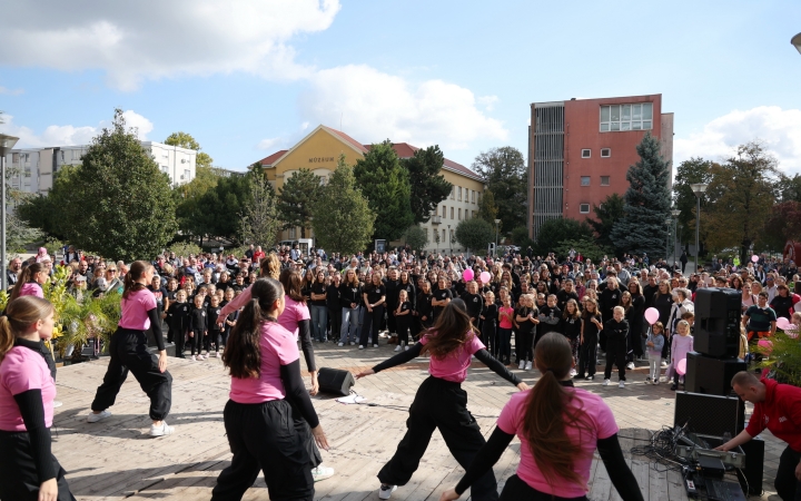 A közösség erejével a mellrák ellen - fotó: 