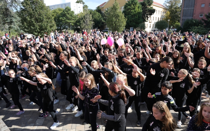 A közösség erejével a mellrák ellen - fotó: 