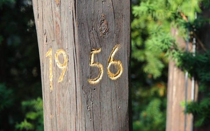 Megemlékezés és díjátadó 1956 ünnepén - fotó: 