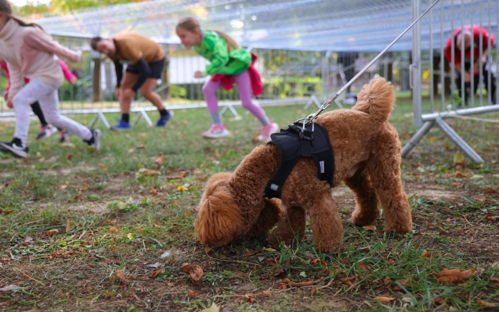 MOZD'ÚJVÁROS (2025) - fotó: 