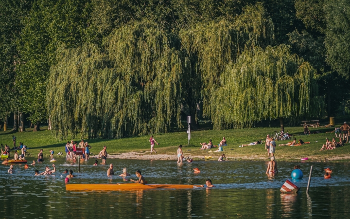 "Dunaújváros fái a négy évszakban" fotópályázat nyári ciklusa - fotó: 