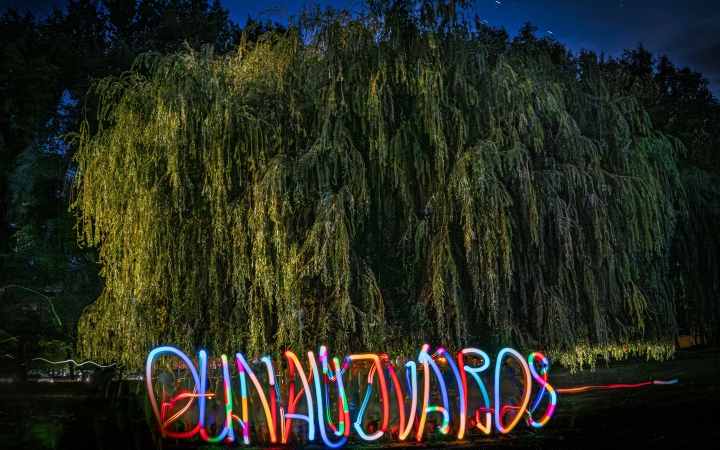 "Dunaújváros fái a négy évszakban" fotópályázat nyári ciklusa - fotó: 