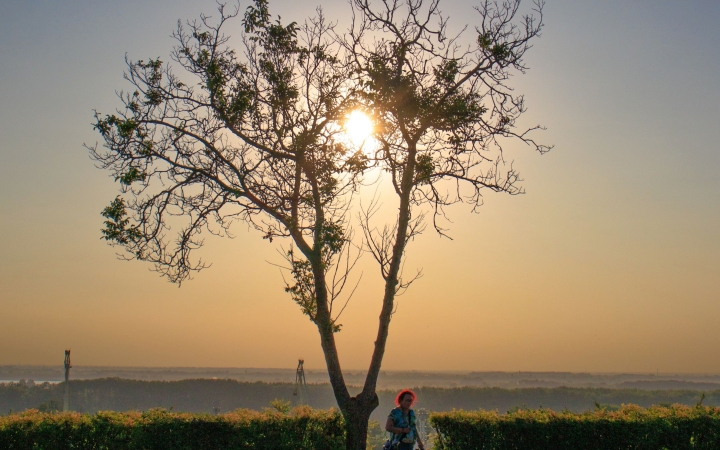 "Dunaújváros fái a négy évszakban" fotópályázat nyári ciklusa - fotó: 
