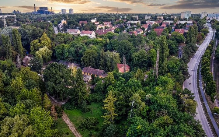 "Dunaújváros fái a négy évszakban" fotópályázat nyári ciklusa - fotó: 