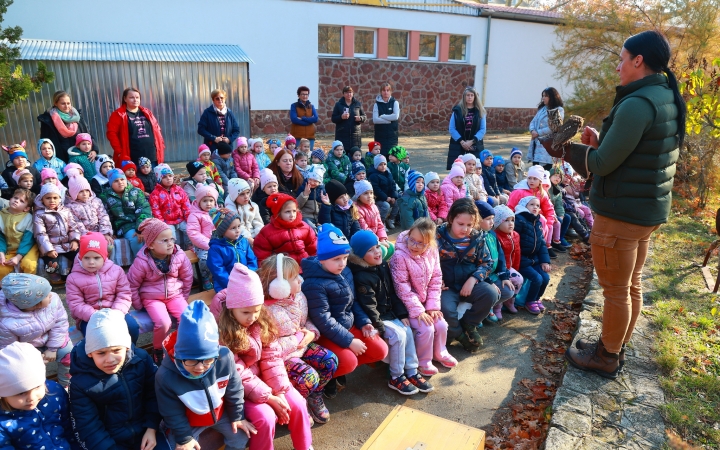 Ragadozó madarak az ovisok fölött - fotó: Ragadozó madarak az ovisok fölött - fotó: