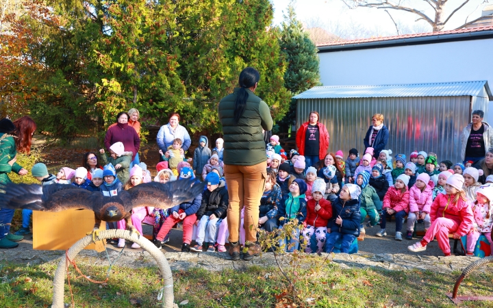Ragadozó madarak az ovisok fölött - fotó: Ragadozó madarak az ovisok fölött - fotó: