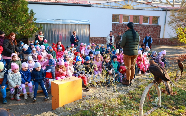 Ragadozó madarak az ovisok fölött - fotó: Ragadozó madarak az ovisok fölött - fotó: