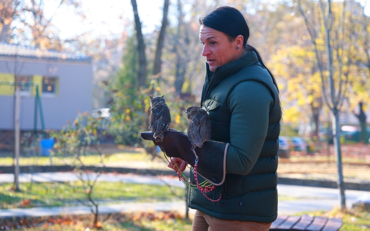 Ragadozó madarak az ovisok fölött - fotó: Ragadozó madarak az ovisok fölött - fotó: