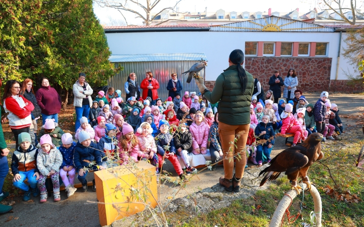 Ragadozó madarak az ovisok fölött - fotó: Ragadozó madarak az ovisok fölött - fotó: