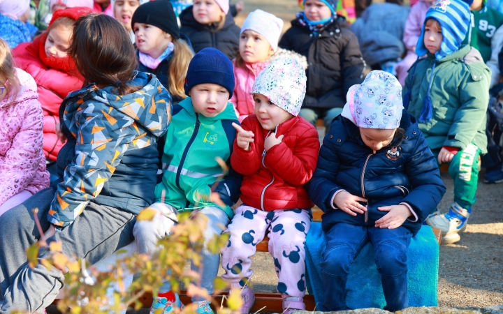 Ragadozó madarak az ovisok fölött - fotó: Ragadozó madarak az ovisok fölött - fotó: