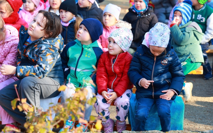 Ragadozó madarak az ovisok fölött - fotó: Ragadozó madarak az ovisok fölött - fotó: