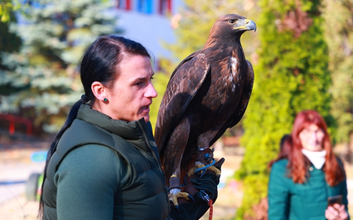 Ragadozó madarak az ovisok fölött - fotó: Ragadozó madarak az ovisok fölött - fotó: