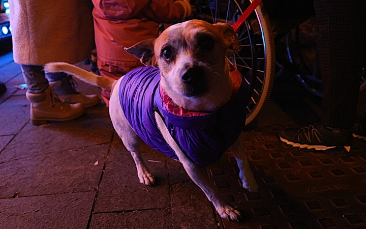 A remény fénye is fellobant  - fotó: 