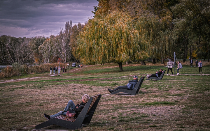 "Dunaújváros fái a négy évszakban" - őszi ciklus  - fotó: 