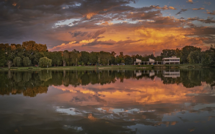 "Dunaújváros fái a négy évszakban" - őszi ciklus  - fotó: 