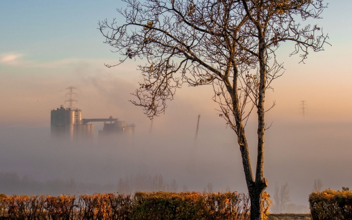 "Dunaújváros fái a négy évszakban" - őszi ciklus  - fotó: 