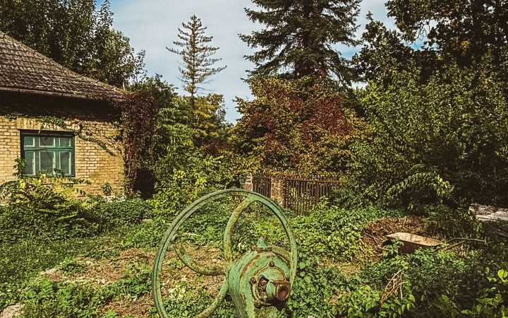 "Dunaújváros fái a négy évszakban" - őszi ciklus  - fotó: 