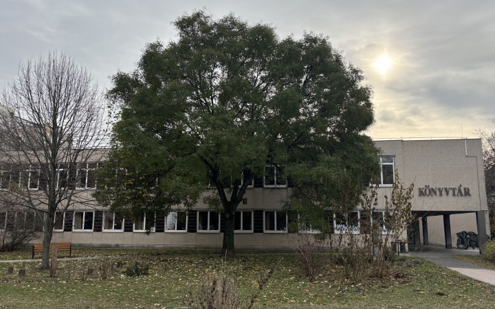 "Dunaújváros fái a négy évszakban" - őszi ciklus  - fotó: 