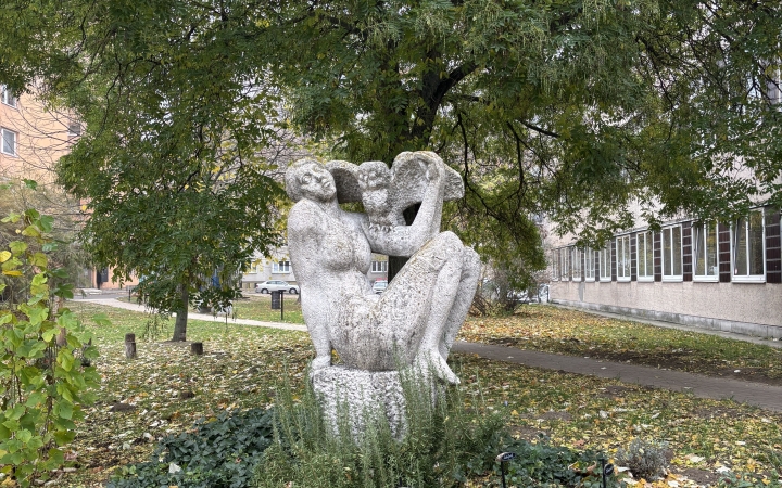 "Dunaújváros fái a négy évszakban" - őszi ciklus  - fotó: 