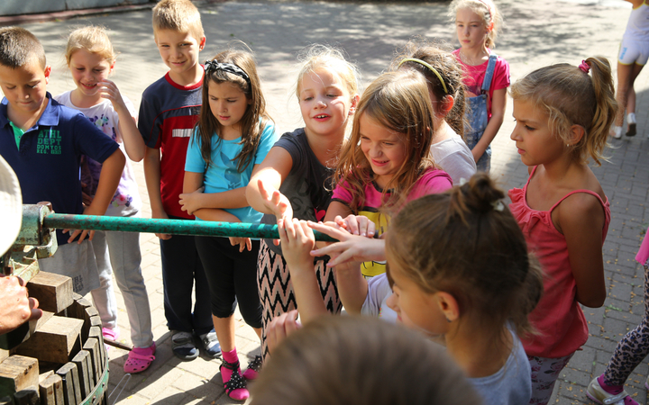 Szüret a Dózsa iskolában - fotó: Ónodi Zoltán