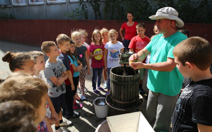 Szüret a Dózsa iskolában - fotó: Ónodi Zoltán