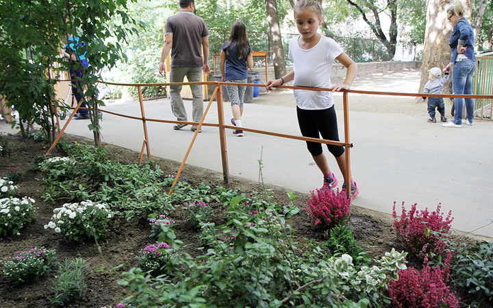 Családi nap a Móriczban - fotó: Sándor Judit