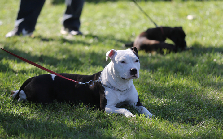 Szöllősi Zsolt emlékverseny - fotó: Ónodi Zoltán