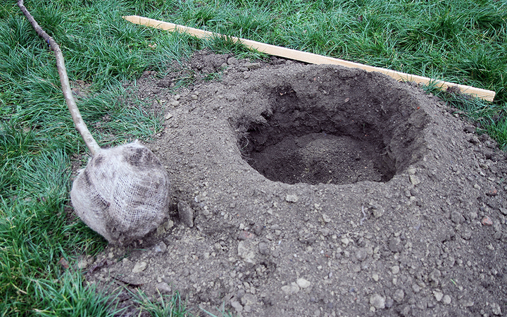 Faültetés a Kádár-völgyben - fotó: Sándor Judit