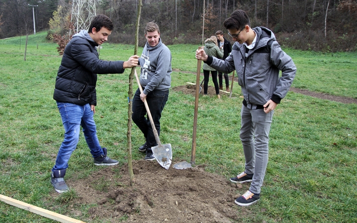 Faültetés a Kádár-völgyben - fotó: Sándor Judit