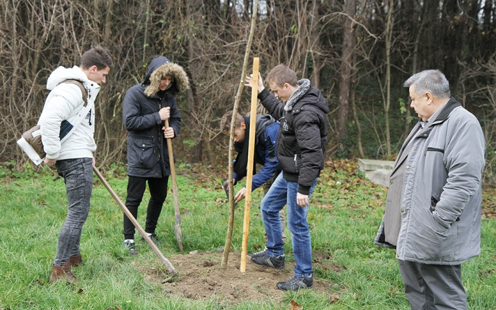 Faültetés a Kádár-völgyben - fotó: Sándor Judit