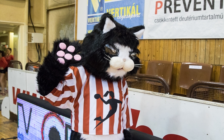 Kézilabda: DKKA- Siófok - fotó: Ónodi Zoltán