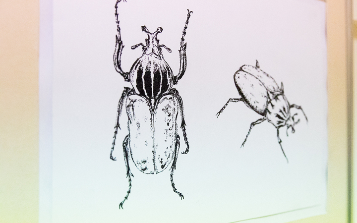 MMK galéria: Szőke Ivett kiállítás megnyitó - fotó: Ónodi Zoltán