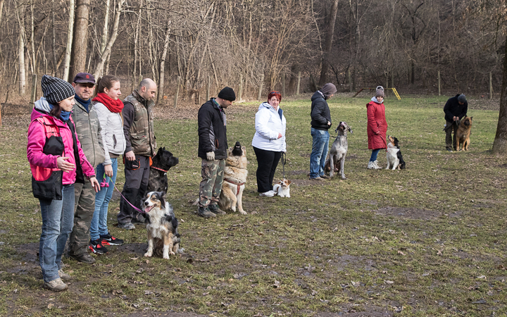 Nyílt nap a Duna Dog Center Kutyaiskolában - fotó: Ónodi Zoltán