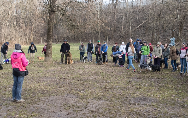 Nyílt nap a Duna Dog Center Kutyaiskolában - fotó: Ónodi Zoltán