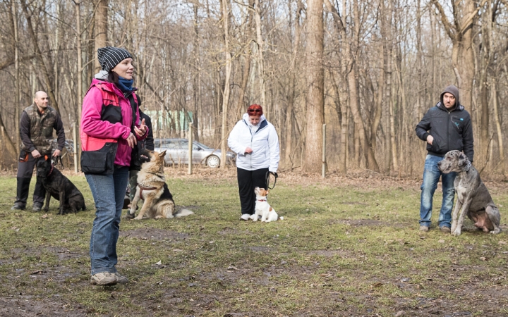 Nyílt nap a Duna Dog Center Kutyaiskolában - fotó: Ónodi Zoltán