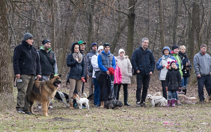 Nyílt nap a Duna Dog Center Kutyaiskolában - fotó: Ónodi Zoltán