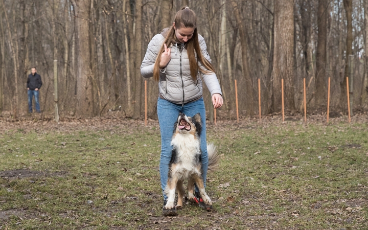 Nyílt nap a Duna Dog Center Kutyaiskolában - fotó: Ónodi Zoltán