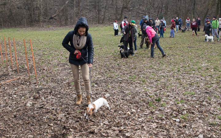 Nyílt nap a Duna Dog Center Kutyaiskolában - fotó: Ónodi Zoltán