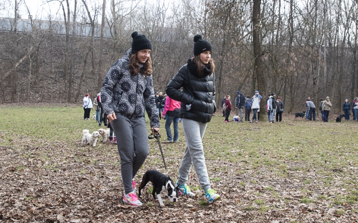 Nyílt nap a Duna Dog Center Kutyaiskolában - fotó: Ónodi Zoltán