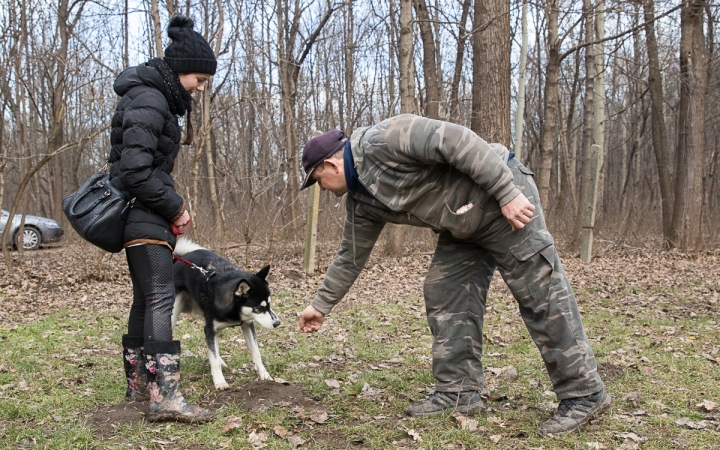 Nyílt nap a Duna Dog Center Kutyaiskolában - fotó: Ónodi Zoltán