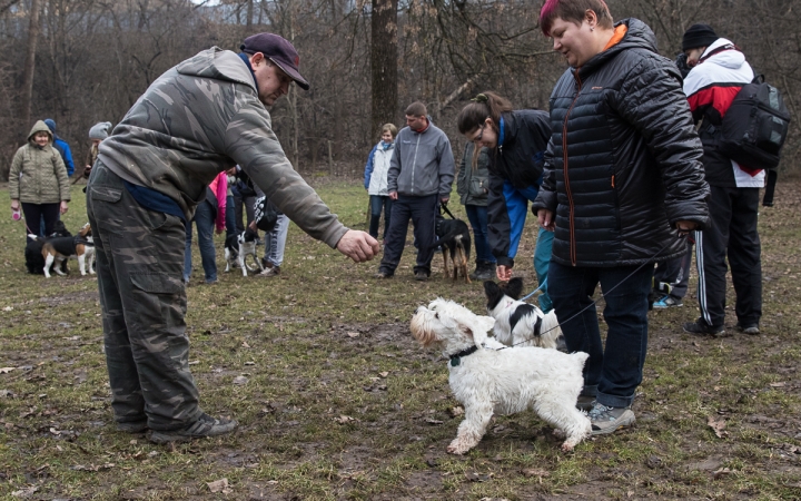 Nyílt nap a Duna Dog Center Kutyaiskolában - fotó: Ónodi Zoltán