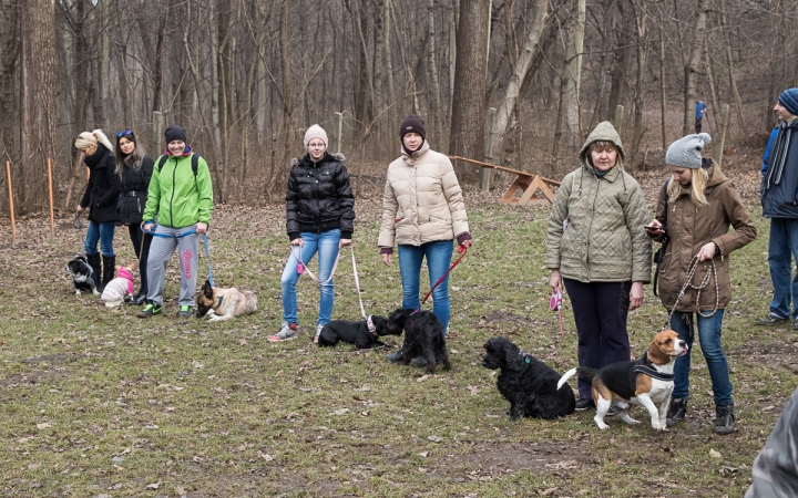 Nyílt nap a Duna Dog Center Kutyaiskolában - fotó: Ónodi Zoltán