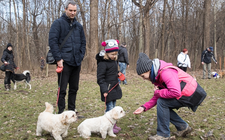 Nyílt nap a Duna Dog Center Kutyaiskolában - fotó: Ónodi Zoltán