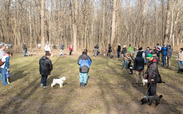 Nyílt nap a Duna Dog Center Kutyaiskolában - fotó: Ónodi Zoltán