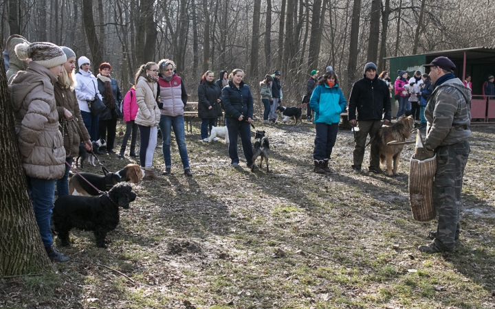 Nyílt nap a Duna Dog Center Kutyaiskolában - fotó: Ónodi Zoltán